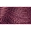 Hotheads 144- Violet Red 14-16 inch