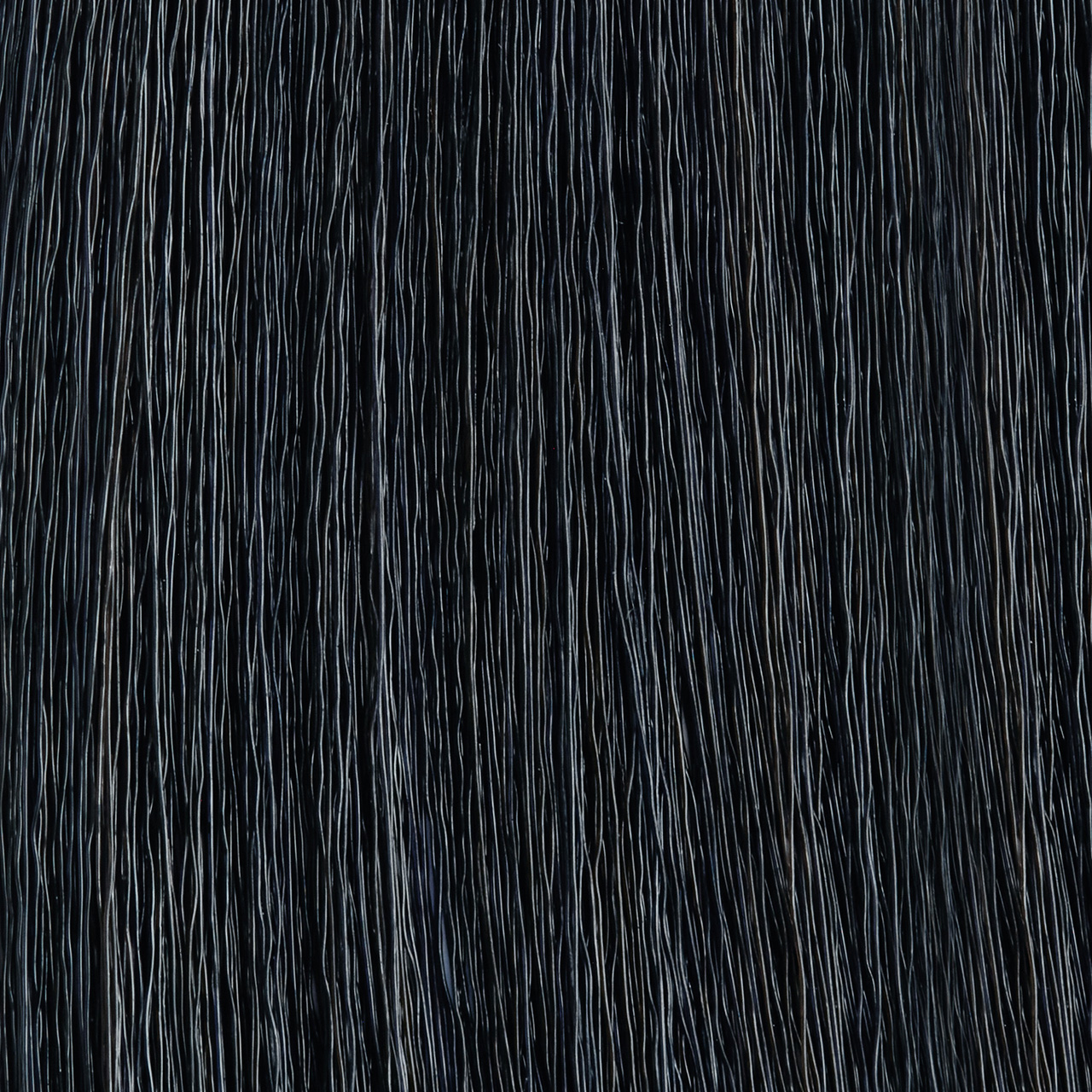 COLOR RHAPSODY 2.1/2B- Ash Black