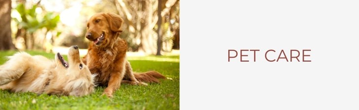 CATEGORY GENERIC Single Pet Care