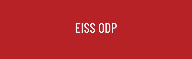 BRAND GENERIC Single EISS ODP
