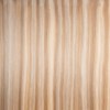 AQUA DUO TONE 8/24 22 inch