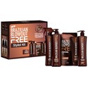 BRAZILIAN BLOWOUT FREE Stylist Kit 10 pc.