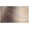 Hotheads 60A/18R- Ice Blonde with Ash Blonde Root 14-16 inch