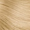 Hotheads 24- Golden Blonde 22 inch