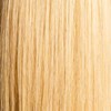 Hotheads Opal (12C- Light, golden blonde) 30 Inch