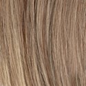 Hotheads 5/18/60ABY- Balayage Blonde 14 inch