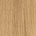 MOROCCANOIL Gloss 8.3/8G- Light Gold Blonde 2 Fl. Oz.