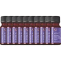 MOROCCANOIL Buy 100 TREATMENT PURPLE Samples For $125! 100 pc.