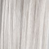 PRORITUALS 10PA- Platinum Ash Blonde Intense 3.38 Fl. Oz.