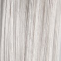 PRORITUALS 10PA- Platinum Ash Blonde Intense 3.38 Fl. Oz.
