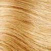 Scruples 10NN- Lightest Neutral Neutral Blonde 2.05 Fl. Oz.