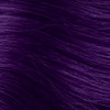 Scruples Purple Intensifier 2.05 Fl. Oz.