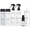 Zenagen The Essentials Intro 25 pc.